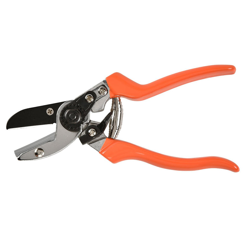 Anvil Secateurs – Ideal for Woody Stems & Dead Growth | RHS by Burgon & Ball | Anvil Secateur | GTO/SCA 5019360002772 | AllotMate Essentials