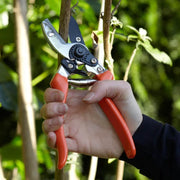 Anvil Secateurs – Ideal for Woody Stems & Dead Growth | RHS by Burgon & Ball | Anvil Secateur | GTO/SCA 5019360002772 | AllotMate Essentials