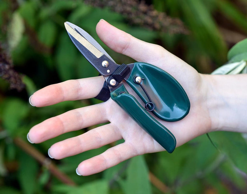 Ergo Deadheader – Precision Snips for Deadheading | RHS by Burgon & Ball | Deadheader | GTO/ERGODH 5019360013020 | AllotMate Essentials