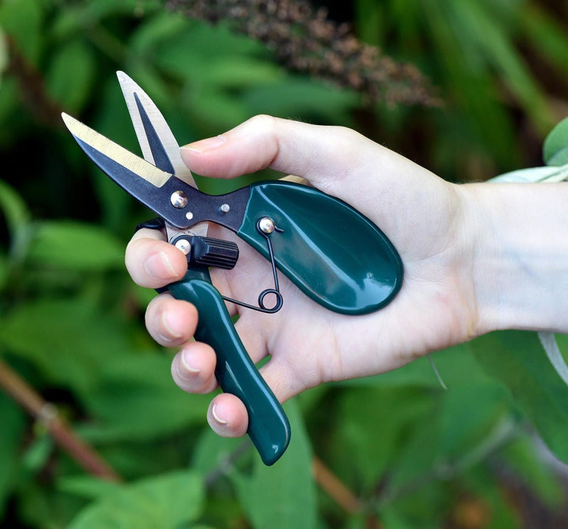 Ergo Deadheader – Precision Snips for Deadheading | RHS by Burgon & Ball | Deadheader | GTO/ERGODH 5019360013020 | AllotMate Essentials