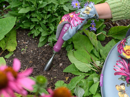 Burgon and Ball Burgon & Ball - RHS Gift Planting Trowel and Dibber Asteraceae FSC 100% - Trowel and Dibber - AllotMate Essentials - GRH/PTDIBASTER - 5019360203872