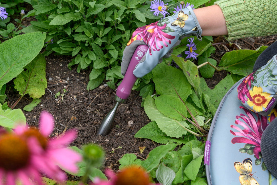 Burgon and Ball Burgon & Ball - RHS Gift Planting Trowel and Dibber Asteraceae FSC 100% - Trowel and Dibber - AllotMate Essentials - GRH/PTDIBASTER - 5019360203872