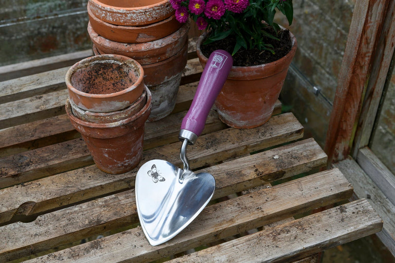 Planting Trowel & Dibber - RHS Gift Set with Asteraceae Design | FSC Tools by Burgon & Ball | Trowel and Dibber | GRH/PTDIBASTER 5019360203872 | AllotMate Essentials