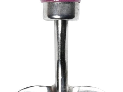 Burgon and Ball Burgon & Ball - RHS Gift Trowel and Fork Asteraceae FSC 100% - Trowel and Fork - AllotMate Essentials - GRH/TFBOXASTER - 5019360203841
