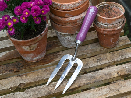 Burgon and Ball Burgon & Ball - RHS Gift Trowel and Fork Asteraceae FSC 100% - Trowel and Fork - AllotMate Essentials - GRH/TFBOXASTER - 5019360203841