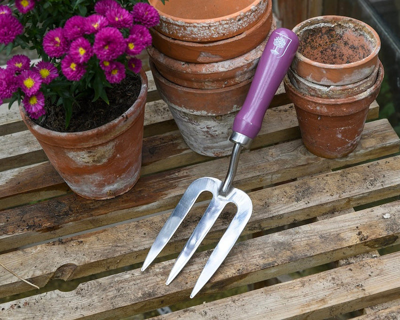 Trowel & Fork - RHS Gift Set with Asteraceae Design | FSC Tools by Burgon & Ball | Trowel and Fork | GRH/TFBOXASTER 5019360203841 | AllotMate Essentials