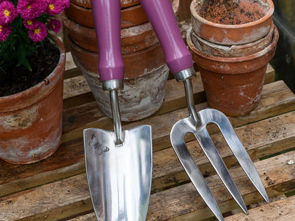 Burgon and Ball Burgon & Ball - RHS Gift Trowel and Fork Asteraceae FSC 100% - Trowel and Fork - AllotMate Essentials - GRH/TFBOXASTER - 5019360203841