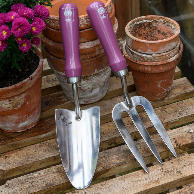Burgon and Ball Burgon & Ball - RHS Gift Trowel and Fork Asteraceae FSC 100% - Trowel and Fork - AllotMate Essentials - GRH/TFBOXASTER - 5019360203841