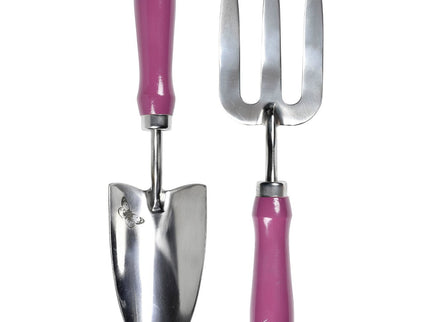 Burgon and Ball Burgon & Ball - RHS Gift Trowel and Fork Asteraceae FSC 100% - Trowel and Fork - AllotMate Essentials - GRH/TFBOXASTER - 5019360203841