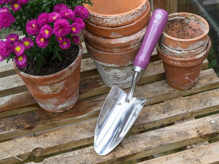 Burgon and Ball Burgon & Ball - RHS Gift Trowel and Fork Asteraceae FSC 100% - Trowel and Fork - AllotMate Essentials - GRH/TFBOXASTER - 5019360203841