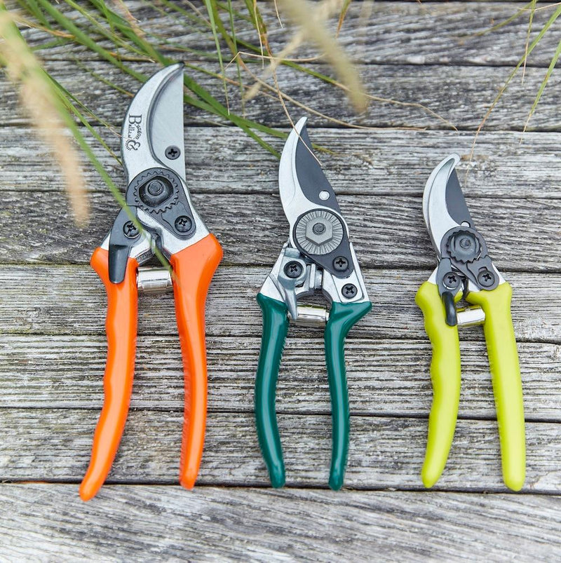 Micro Secateurs – Compact Pruners in Green | RHS by Burgon & Ball | Micro Secateurs | GTO/MP 5019360013044 | AllotMate Essentials
