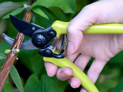 Micro Secateurs – Compact Pruners in Green | RHS by Burgon & Ball | Micro Secateurs | GTO/MP 5019360013044 | AllotMate Essentials