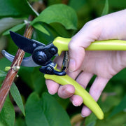 Micro Secateurs – Compact Pruners in Green | RHS by Burgon & Ball | Micro Secateurs | GTO/MP 5019360013044 | AllotMate Essentials