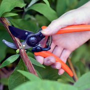 Micro Secateurs – Compact Pruners for Small Stems | Terracotta by Burgon & Ball | Micro Secateurs | GTO/MPT 5019360013402 | AllotMate Essentials