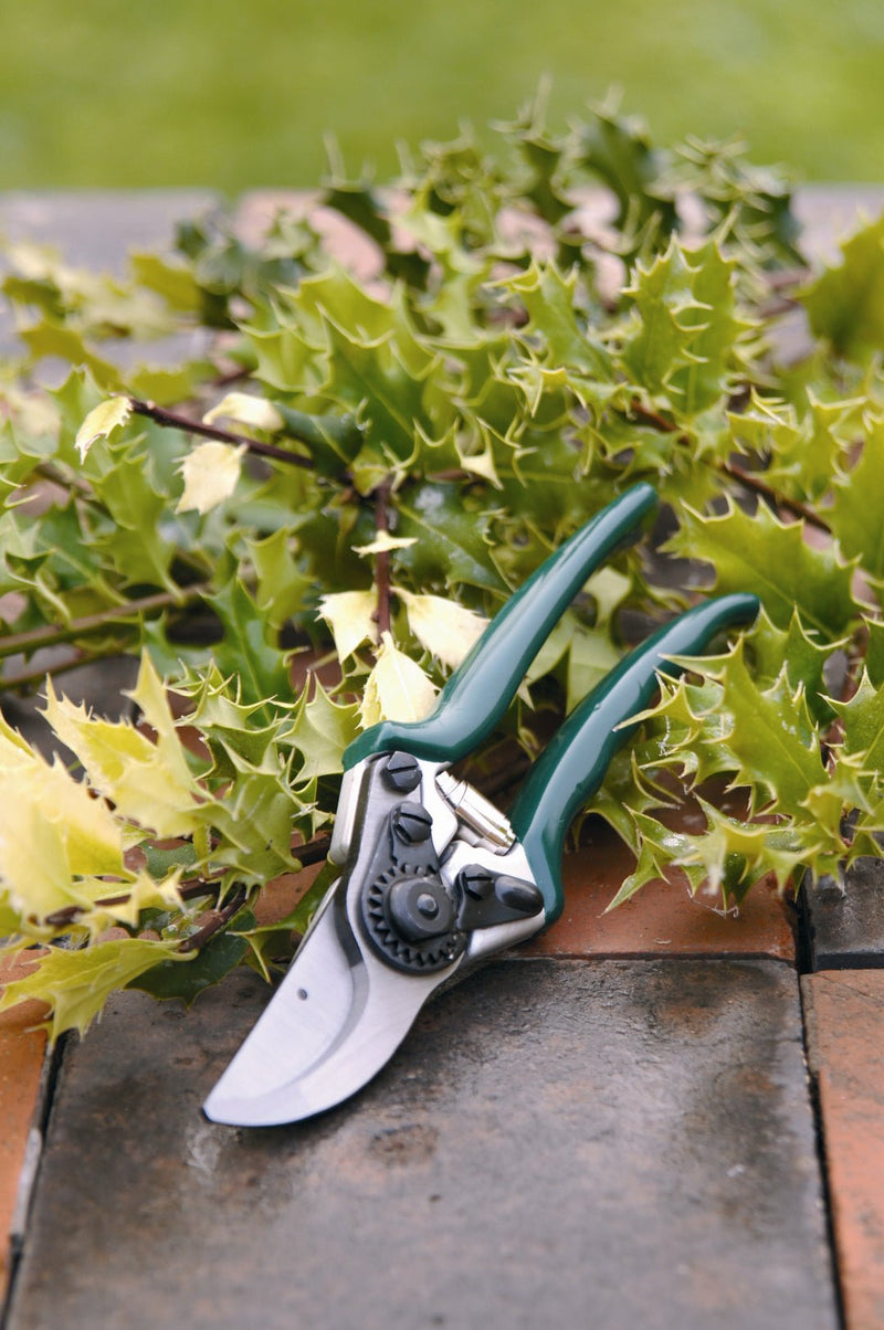 Professional Bypass Secateurs – High Performance Garden Pruners | RHS by Burgon & Ball | Bypass Secateur | GTO/PRB 5019360004714 | AllotMate Essentials