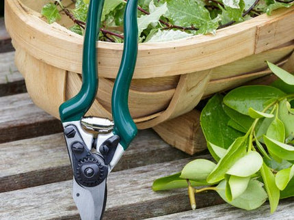 Professional Compact Bypass Secateurs – Lightweight Precision Cutting | RHS by Burgon & Ball | Bypass Secateur | GTO/PRL 5019360004721 | AllotMate Essentials