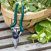 Professional Compact Bypass Secateurs – Lightweight Precision Cutting | RHS by Burgon & Ball | Bypass Secateur | GTO/PRL 5019360004721 | AllotMate Essentials