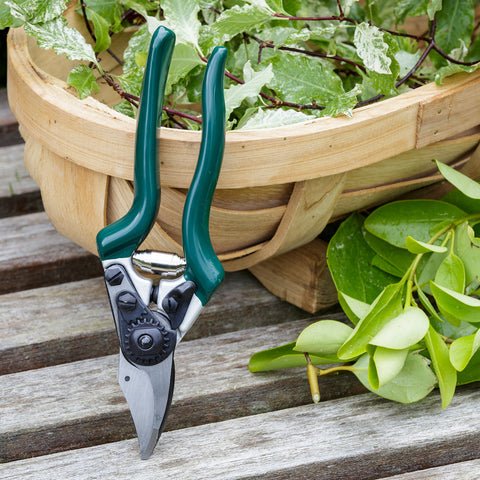 Professional Compact Bypass Secateurs – Lightweight Precision Cutting | RHS by Burgon & Ball | Bypass Secateur | GTO/PRL 5019360004721 | AllotMate Essentials