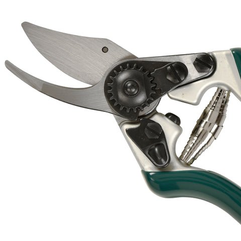Professional Compact Bypass Secateurs – Lightweight Precision Cutting | RHS by Burgon & Ball | Bypass Secateur | GTO/PRL 5019360004721 | AllotMate Essentials
