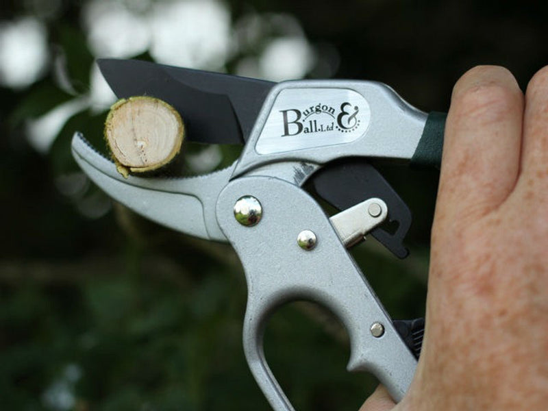 Ratchet Pruners – Easy - Cut Tool for Thick Stems | RHS by Burgon & Ball | Ratchet Pruner | GTO/RP 5019360004707 | AllotMate Essentials