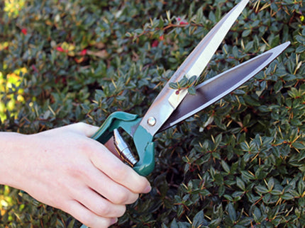 Shrub Shear – Lightweight Garden Shears for Bushes | RHS by Burgon & Ball | Shrub Shear | GTO/SS 5019360010968 | AllotMate Essentials