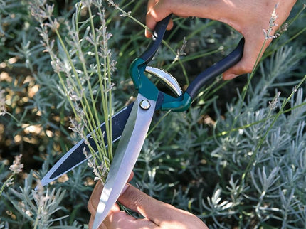 Shrub Shear – Lightweight Garden Shears for Bushes | RHS by Burgon & Ball | Shrub Shear | GTO/SS 5019360010968 | AllotMate Essentials