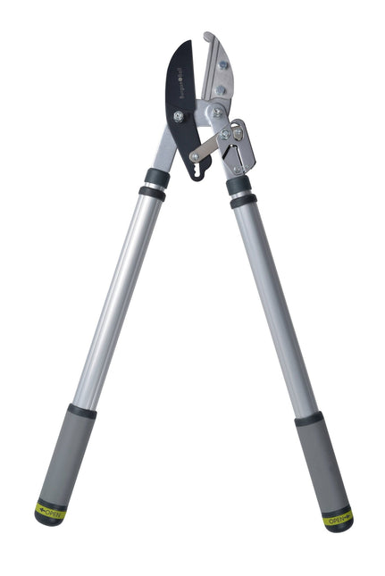 Telescopic Ratchet Lopper – Power Cut Pruner with Extendable Handles | RHS by Burgon & Ball | Pruning Shear | GTO/LOPRATCHET 5019360011606 | AllotMate Essentials