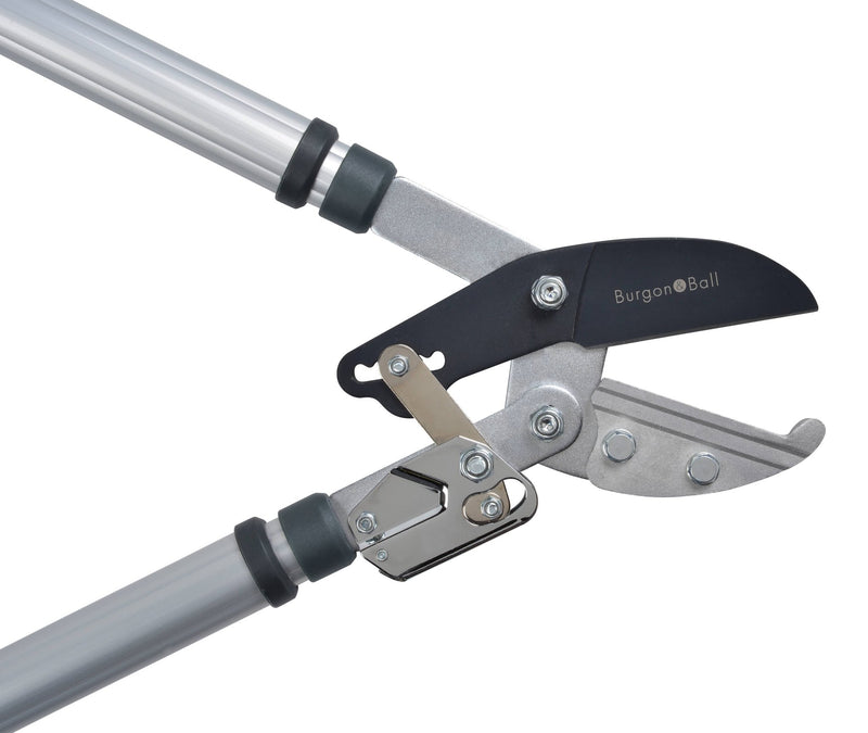 Telescopic Ratchet Lopper – Power Cut Pruner with Extendable Handles | RHS by Burgon & Ball | Pruning Shear | GTO/LOPRATCHET 5019360011606 | AllotMate Essentials