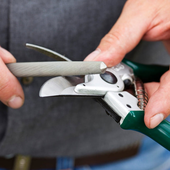 Mini Sharpening Steel – Maintain Sharp Garden Tools | Burgon & Ball | Sharpening Steel | ATT/SS 5019360002413 | AllotMate Essentials