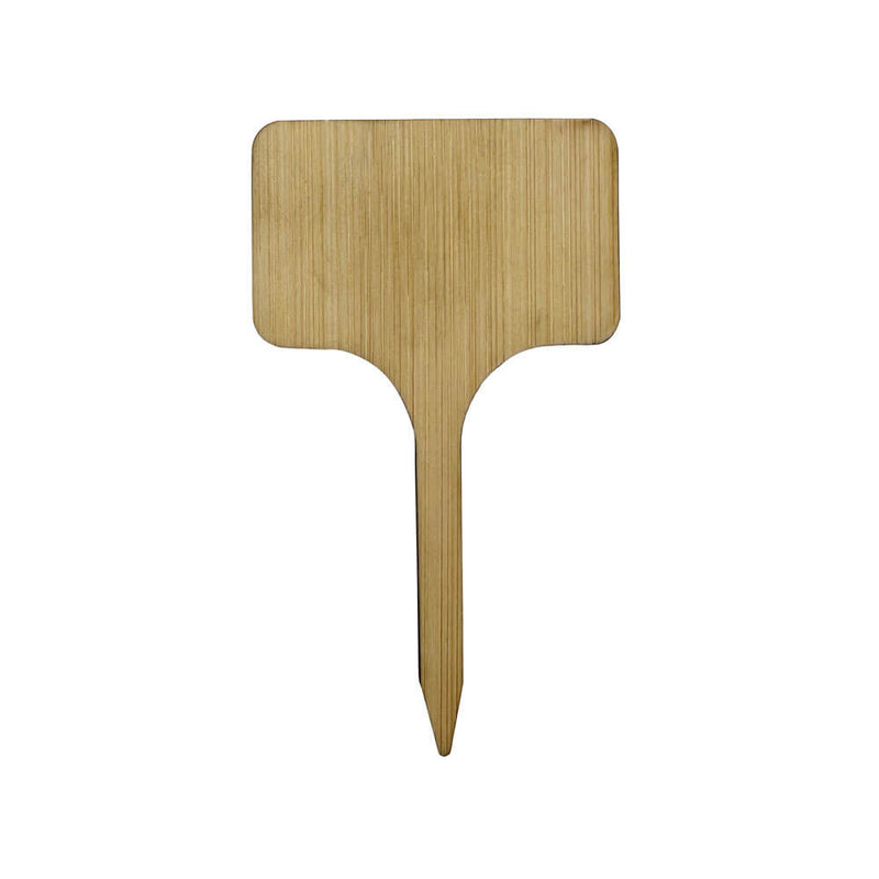 All About Herbs Gift Set – Sophie Conran Collection | Burgon & Ball | Herb Set | WIG/SCHERBGSET  | AllotMate Essentials