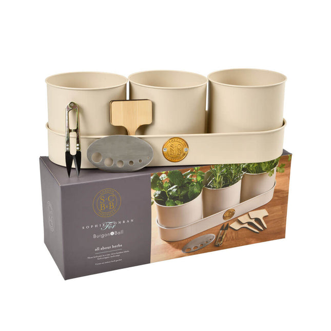 All About Herbs Gift Set – Sophie Conran Collection | Burgon & Ball | Herb Set | WIG/SCHERBGSET  | AllotMate Essentials