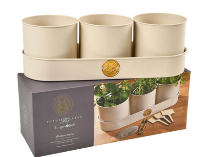 All About Herbs Gift Set – Sophie Conran Collection | Burgon & Ball | Herb Set | WIG/SCHERBGSET  | AllotMate Essentials