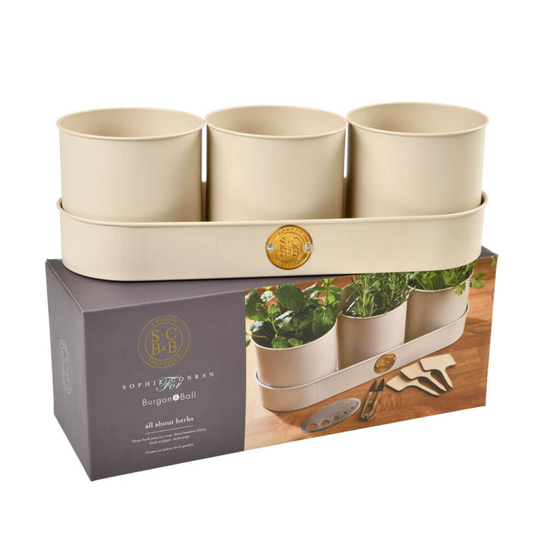 All About Herbs Gift Set – Sophie Conran Collection | Burgon & Ball | Herb Set | WIG/SCHERBGSET  | AllotMate Essentials