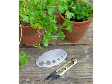All About Herbs Gift Set – Sophie Conran Collection | Burgon & Ball | Herb Set | WIG/SCHERBGSET  | AllotMate Essentials