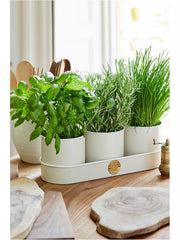 All About Herbs Gift Set – Sophie Conran Collection | Burgon & Ball | Herb Set | WIG/SCHERBGSET  | AllotMate Essentials