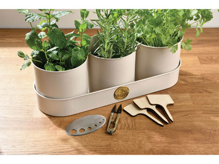 All About Herbs Gift Set – Sophie Conran Collection | Burgon & Ball | Herb Set | WIG/SCHERBGSET  | AllotMate Essentials