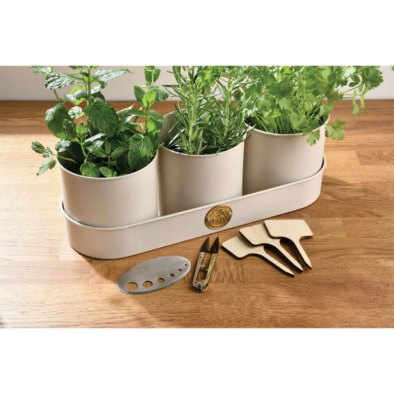 All About Herbs Gift Set – Sophie Conran Collection | Burgon & Ball | Herb Set | WIG/SCHERBGSET  | AllotMate Essentials