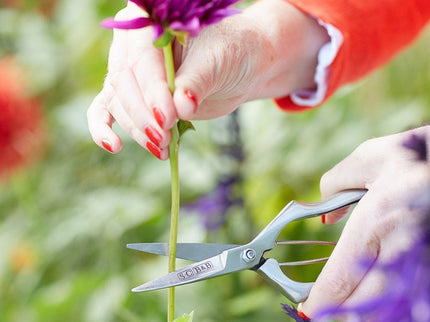 Burgon and Ball Burgon & Ball - Sophie Conran - Precision Secateurs (Gift Boxed) - Secateurs - AllotMate Essentials - GSC/PRESEC - 5019360012153