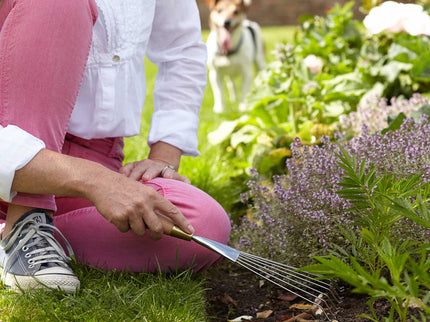 Hand Rake – Sophie Conran Gift Boxed Garden Tool | Burgon & Ball | Rake | GSC/RAKE 5019360010357 | AllotMate Essentials