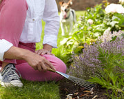 Hand Rake – Sophie Conran Gift Boxed Garden Tool | Burgon & Ball | Rake | GSC/RAKE 5019360010357 | AllotMate Essentials