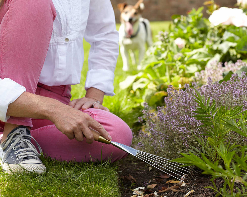 Hand Rake – Sophie Conran Gift Boxed Garden Tool | Burgon & Ball | Rake | GSC/RAKE 5019360010357 | AllotMate Essentials