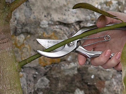 Burgon and Ball Burgon & Ball - Sophie Conran - Secateurs (Gift Boxed) - Secateurs - AllotMate Essentials - GSC/SECAT - 5019360007906