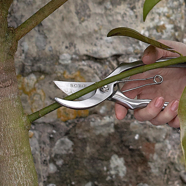 Burgon and Ball Burgon & Ball - Sophie Conran - Secateurs (Gift Boxed) - Secateurs - AllotMate Essentials - GSC/SECAT - 5019360007906