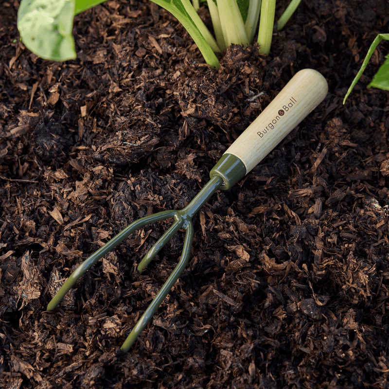 Burgon and Ball RHS BoronGreen Claw Cultivator | Hand rakes and cultivators | 5019360204404 5019360204404 | AllotMate Essentials