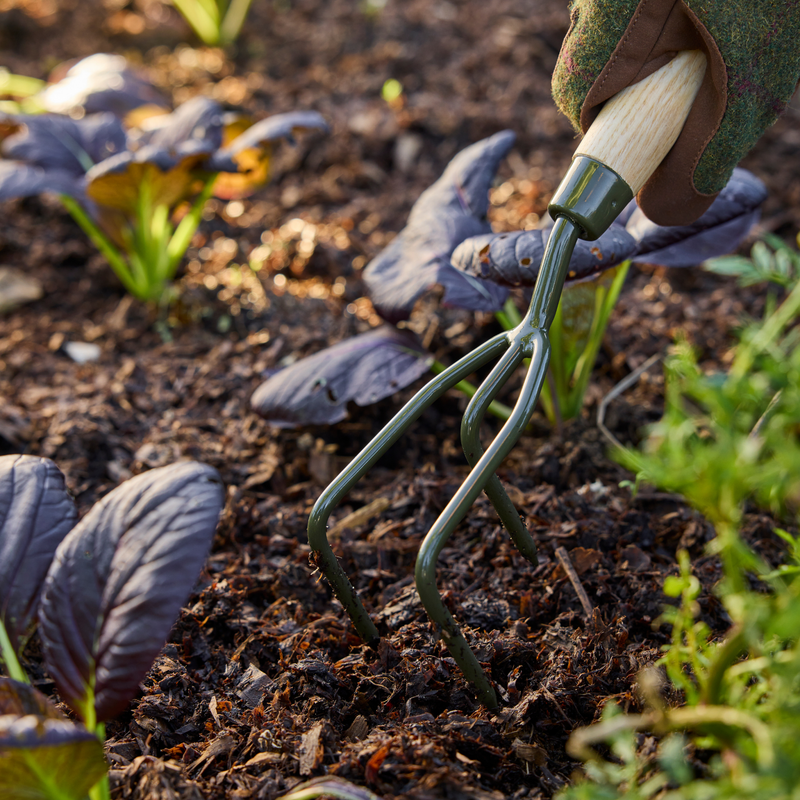 Burgon and Ball RHS BoronGreen Claw Cultivator | Hand rakes and cultivators | 5019360204404 5019360204404 | AllotMate Essentials