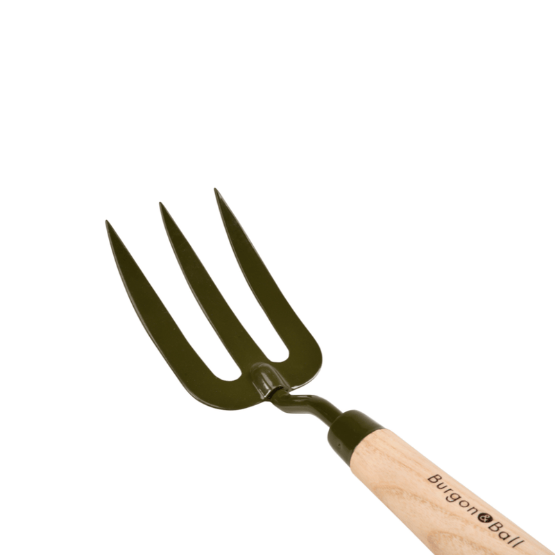 Burgon and Ball RHS BoronGreen Hand Fork | Fork | 5019360204381 5019360204381 | AllotMate Essentials