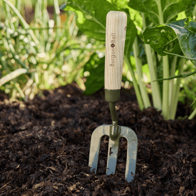 Burgon and Ball RHS BoronGreen Hand Fork | Fork | 5019360204381 5019360204381 | AllotMate Essentials