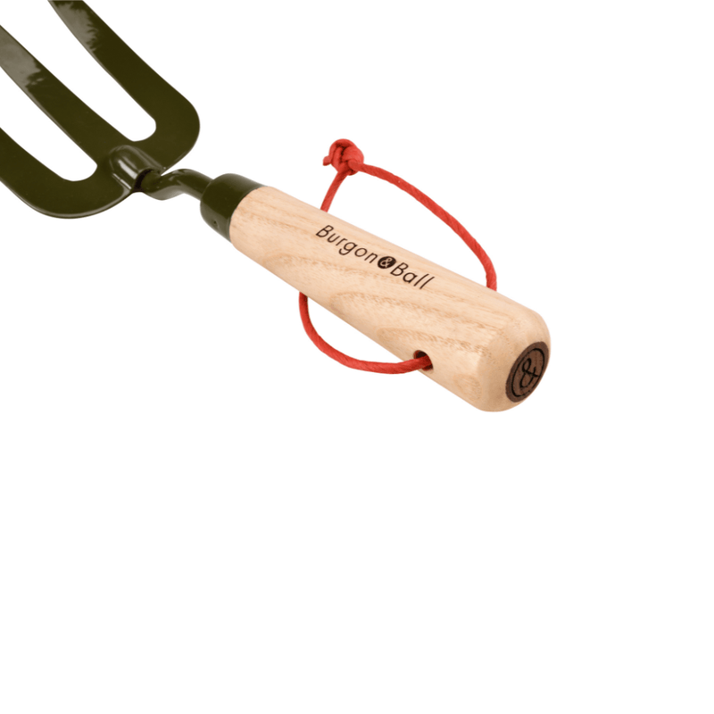 Burgon and Ball RHS BoronGreen Hand Fork | Fork | 5019360204381 5019360204381 | AllotMate Essentials