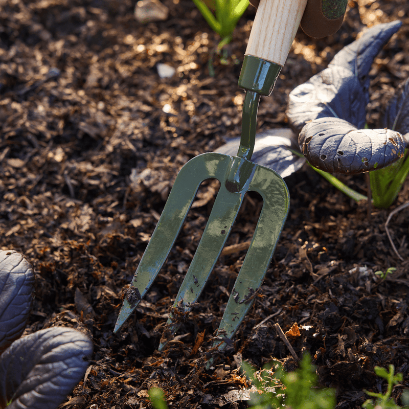 Burgon and Ball RHS BoronGreen Hand Fork | Fork | 5019360204381 5019360204381 | AllotMate Essentials
