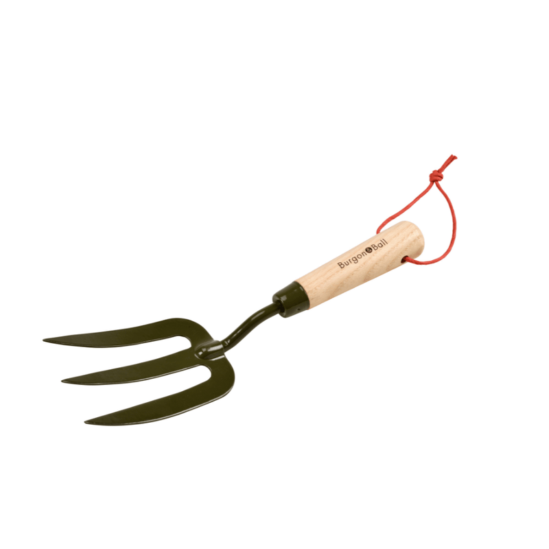 Burgon and Ball RHS BoronGreen Hand Fork | Fork | 5019360204381 5019360204381 | AllotMate Essentials